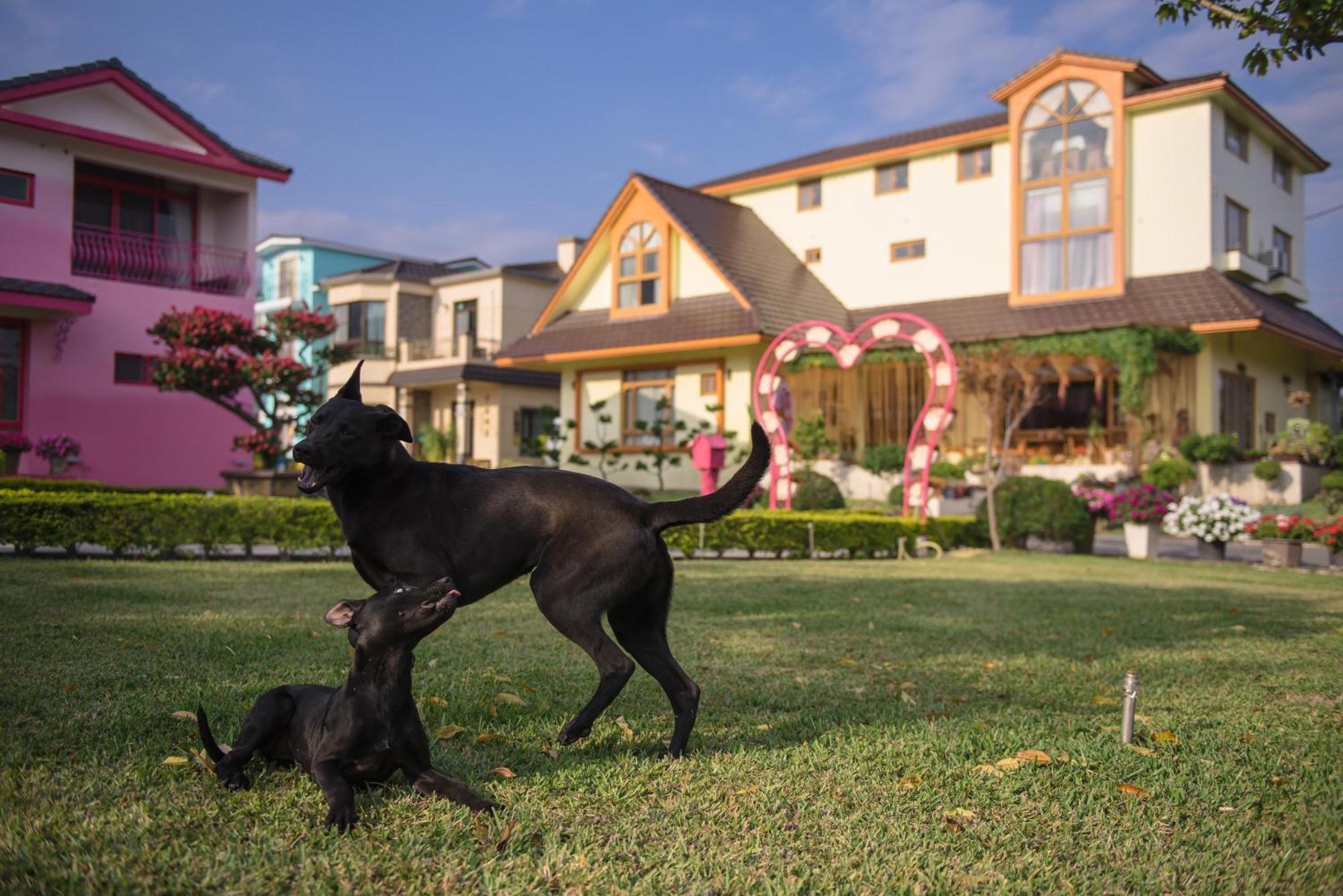 Taiping  Xinfu Traveler Inn מראה חיצוני תמונה