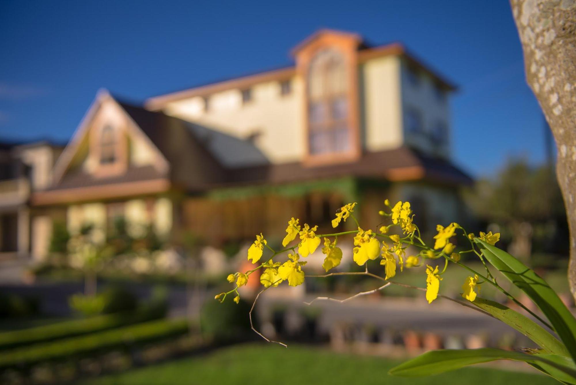 Taiping  Xinfu Traveler Inn מראה חיצוני תמונה