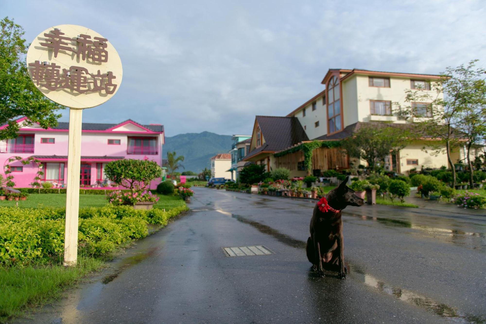 Taiping  Xinfu Traveler Inn מראה חיצוני תמונה