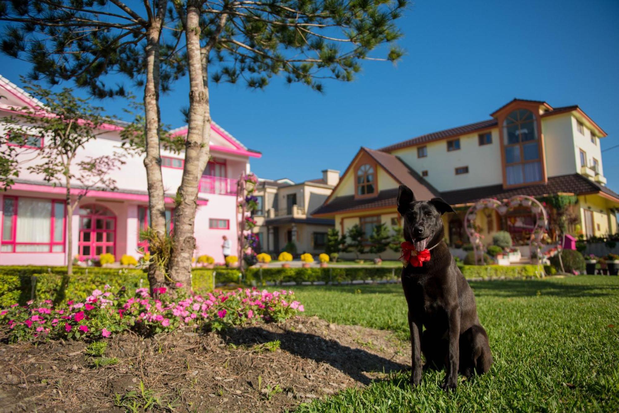 Taiping  Xinfu Traveler Inn מראה חיצוני תמונה